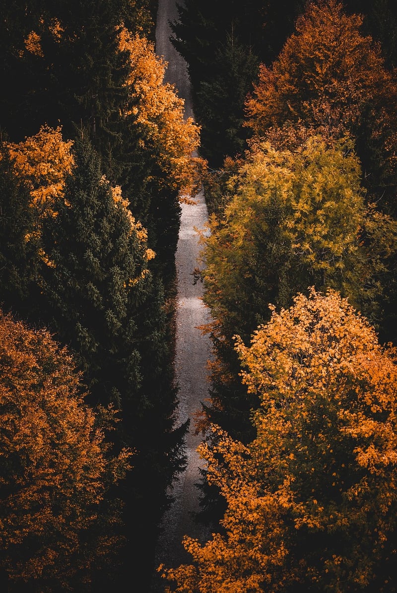 Hiking
